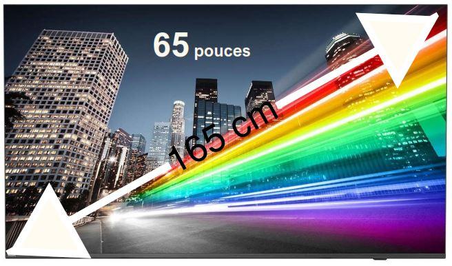 Philips 65BFL2214/12  - Classe de diagonale 65" B-Line Professional Series TV LCD rétro-éclairée par LED - signalisation num